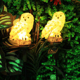Solar Owl Light